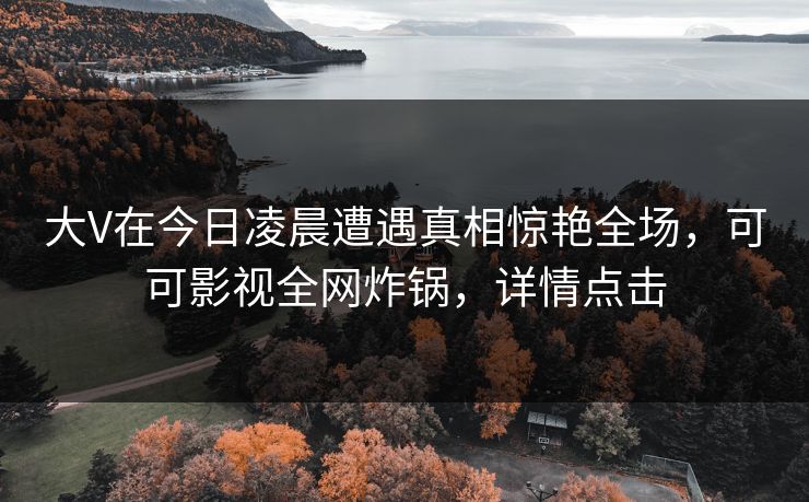 大V在今日凌晨遭遇真相惊艳全场，可可影视全网炸锅，详情点击